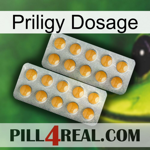 Priligy Dosage levitra2.jpg